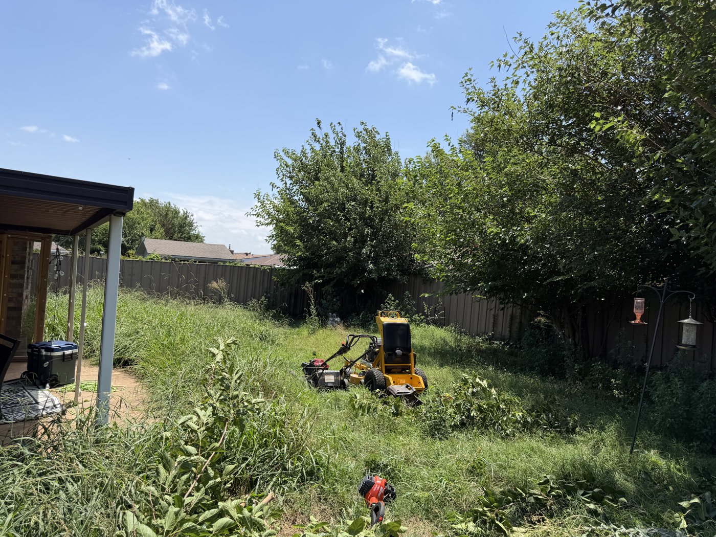 Overgrown backyard with waist-high grass before cleanup in Oklahoma City
